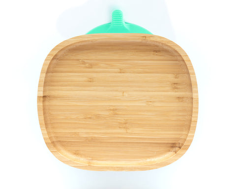 Classic Rectangle Suction Plate