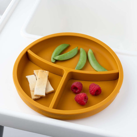 Silicone Plate