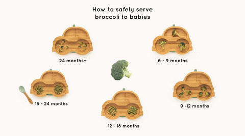 How to safely serve broccoli to children under 2 years. Picture shows eco rascals car suction plate.