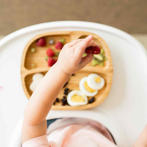 Classic Plate and Bowl with Free Bib!