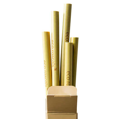 bamboo straws-Ecorascals